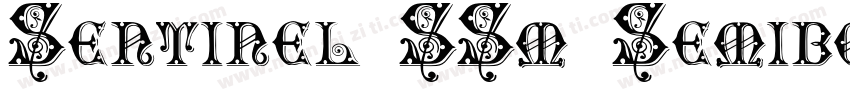 Sentinel SSm Semiboldltalici字体转换